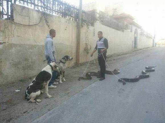 Walked out of my house to this today