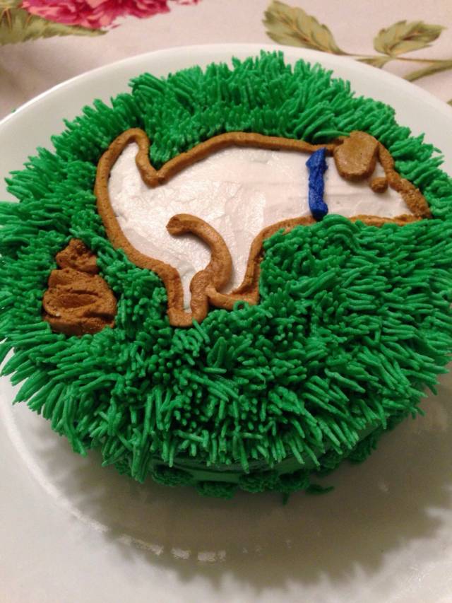 asked my sister to surprise me with a birthday cake