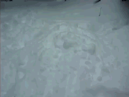 Yes?