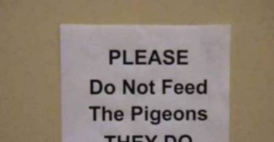 In-Sign-ity:  Signs That Would Make You Do a Double-Take