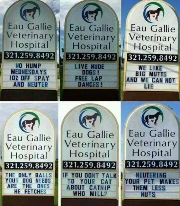 A local veterinary clinic here in Florida. They think they're clever...