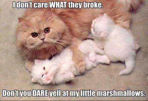 I don't care WHAT they broke.