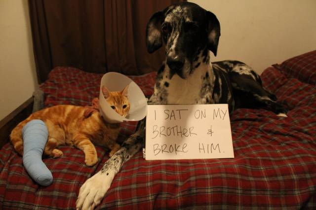 Love hurts