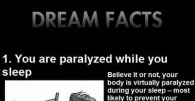 Some Dreaming Facts That Are Quite Interesting... 
