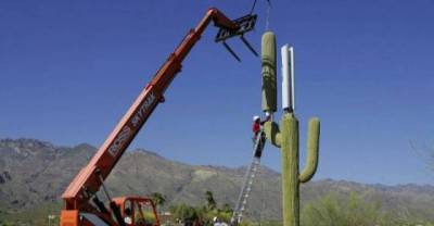 Cellphone towers that are designed to blend with the environment