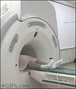 Japanese WTF GIF for the day