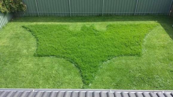 The bosses wife asked him to mow the lawn. This is what she got.