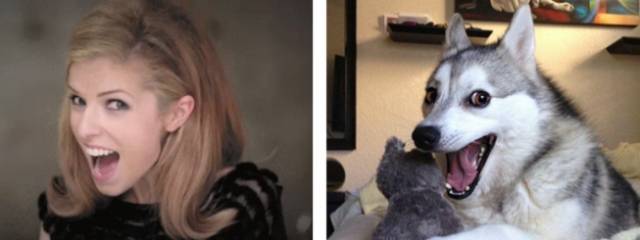 Anna Kendrick's celebrity look-alike