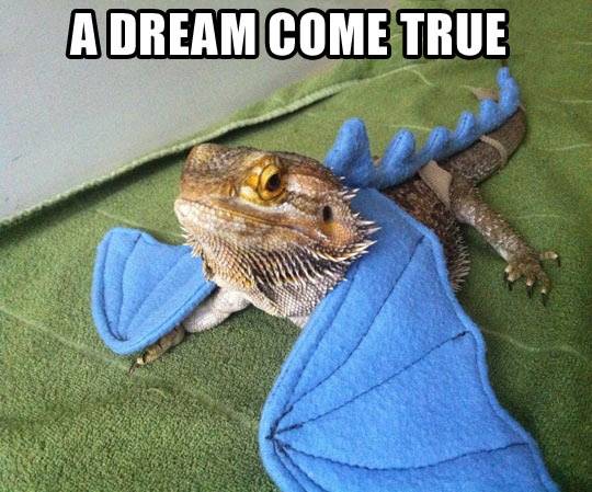 if you believe, you can be anything
