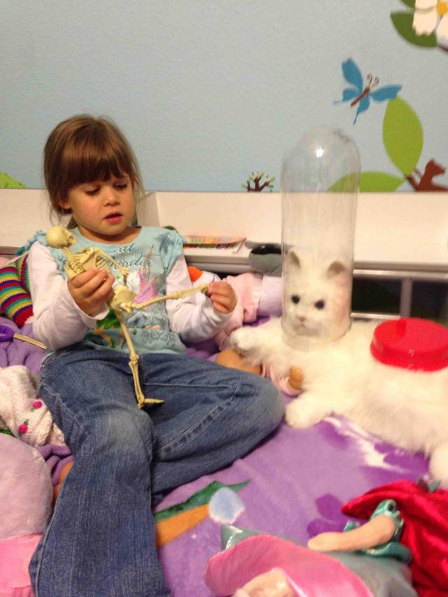 I walked in on my 4 year old's weird science.