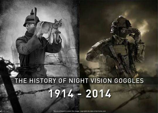 If the history channel picked this up I might actually start watching..