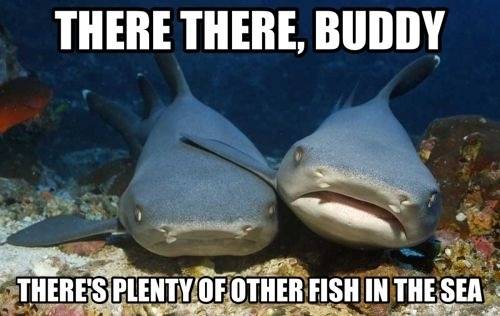 Girlfriend broke up with me the other day, so one of my good friends sent me this to try and cheer me up. It worked.