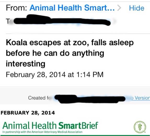 My friend subscribes to Animal Health alerts because she's a vet. This email came a few days ago....