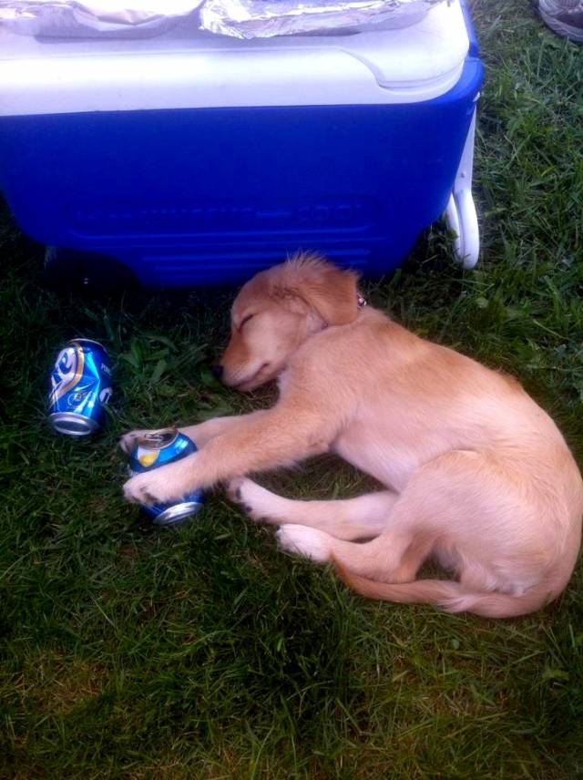 Guess he partied just a little too ruff.