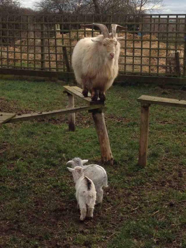 Parenting - hiding from the kids