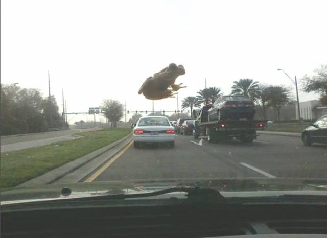 I really need to fix my windshield defrogger.