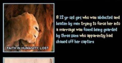 Some Interesting Facts That Are True...
