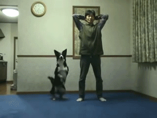 Exercise partner