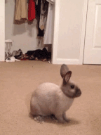 Surprise Mother f*cker!