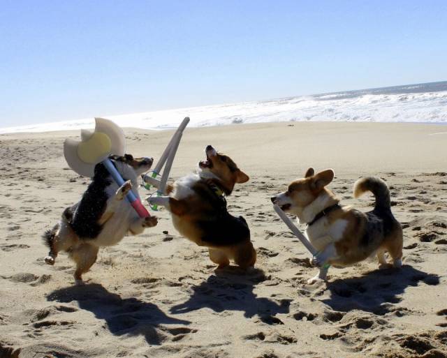 To war and glory!