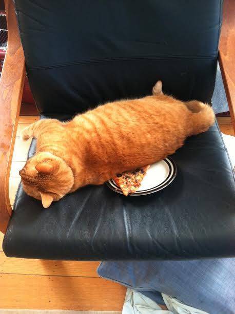 I think I'll just...yep, this is a good place.