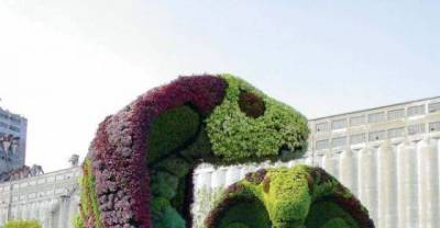 Gorgeous Pieces Of Plant Art That Do Not Exist In America