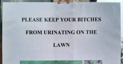 My reasons to hate my neighbors