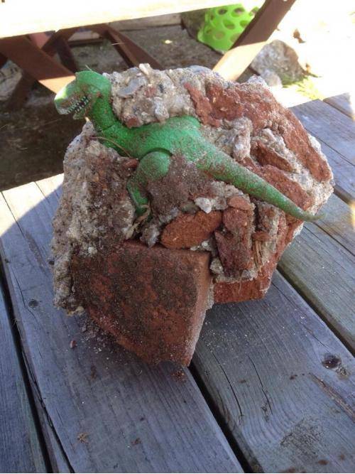 My brother found a dinosaur while digging up his garden.