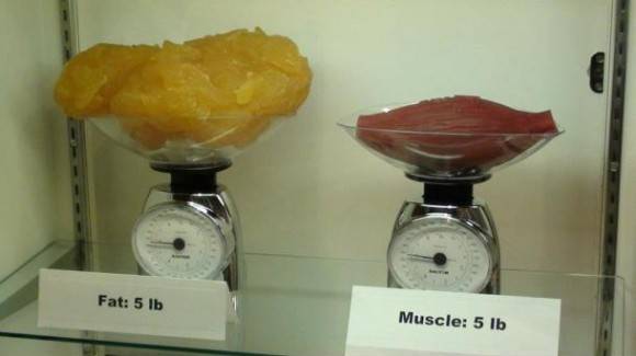 This is what really got to me. 5lbs of fat compared to 5lbs of muscle.