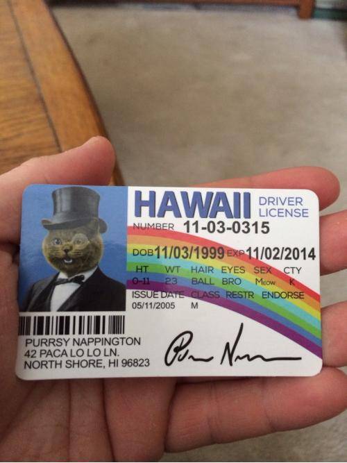 My new wallet came with a pretty interesting license... Definitely going to keep and use it.