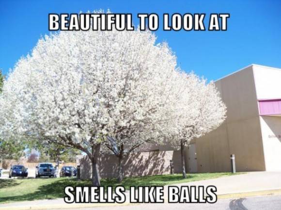 It’s that time of year already.