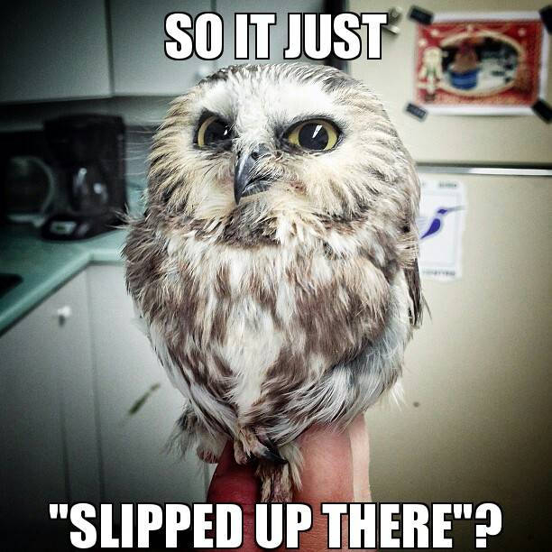 The look on her face...