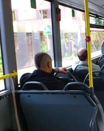 A full head of hair between them