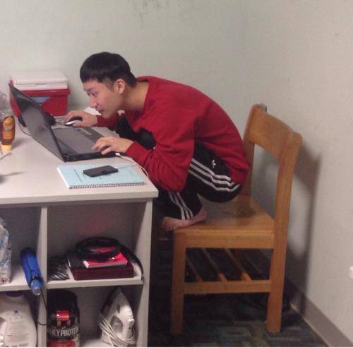 I have an Asian bird as my roommate.