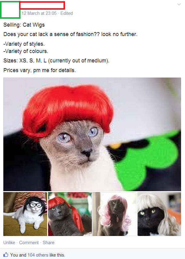 Someone in my university 'for sale' page is selling wigs for cats