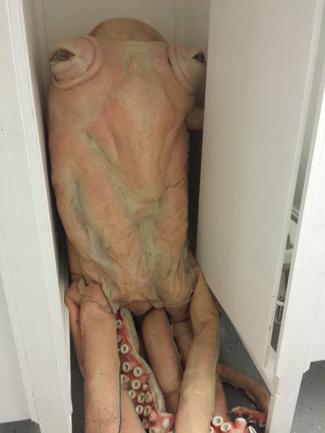 Went to the bathroom and this was in the stall... Wth