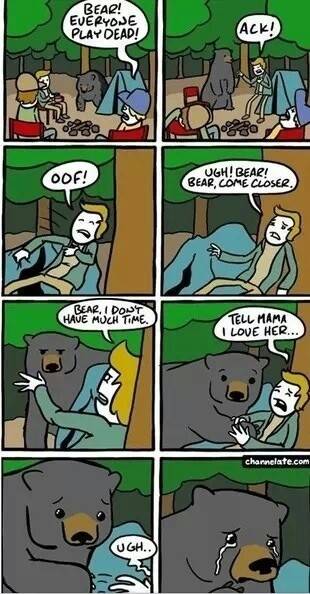 Bear tears