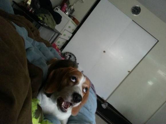 She watched the spider with this face for 15 minutes.