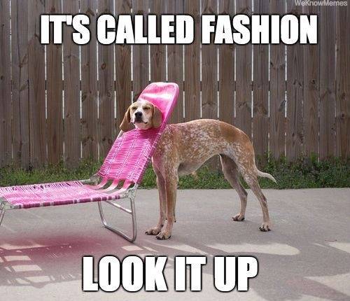 High fashion
