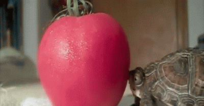 How strange that scientist can&rsquo;t explain these simple things