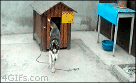 What... was... going on in there?