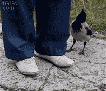 While you tie your shoelaces, I’ll steal your frying pan