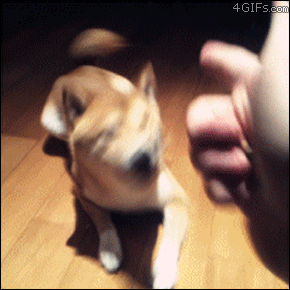 At least he could doge the first bullet