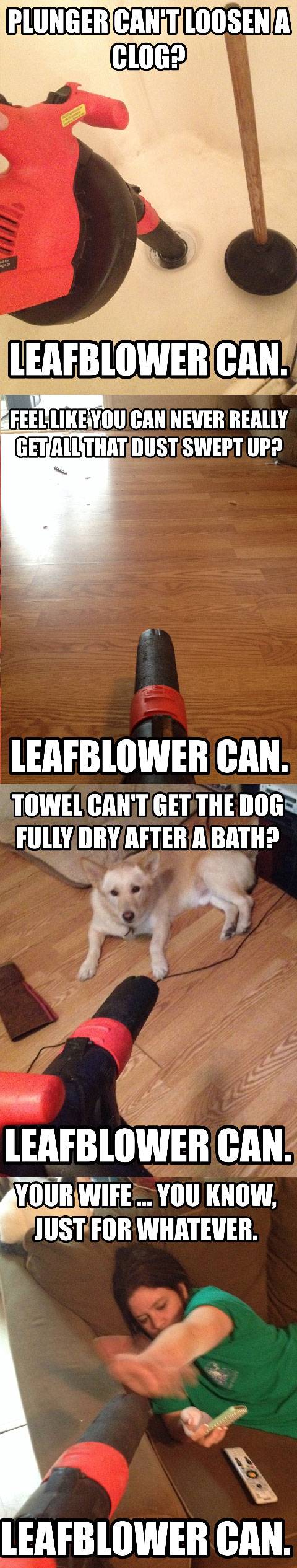 Leafblower can