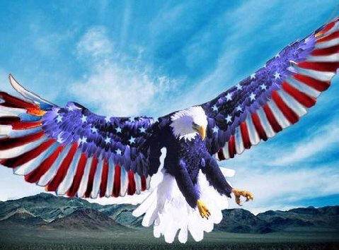 Looks like we Americans are up. Post some goddamn freedom.