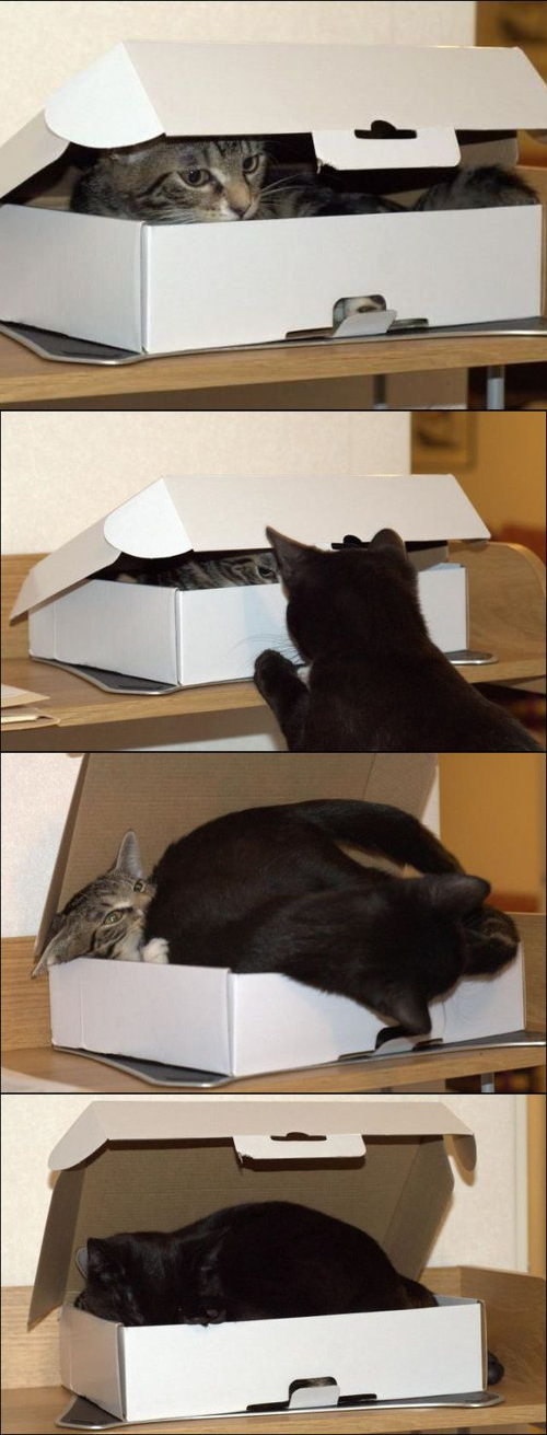Dis is mine now.