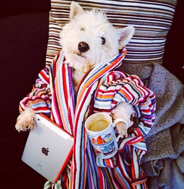 Saturday morning indeed