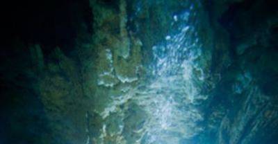 Bahamas Underwater 
