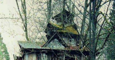Pictures of Trees That You Wish That You Could Live In