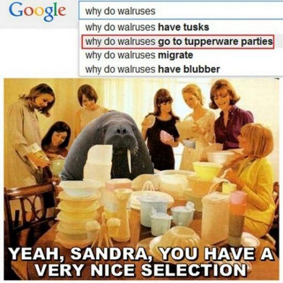 It’s always baffled me.